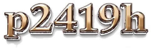 p2419h logo